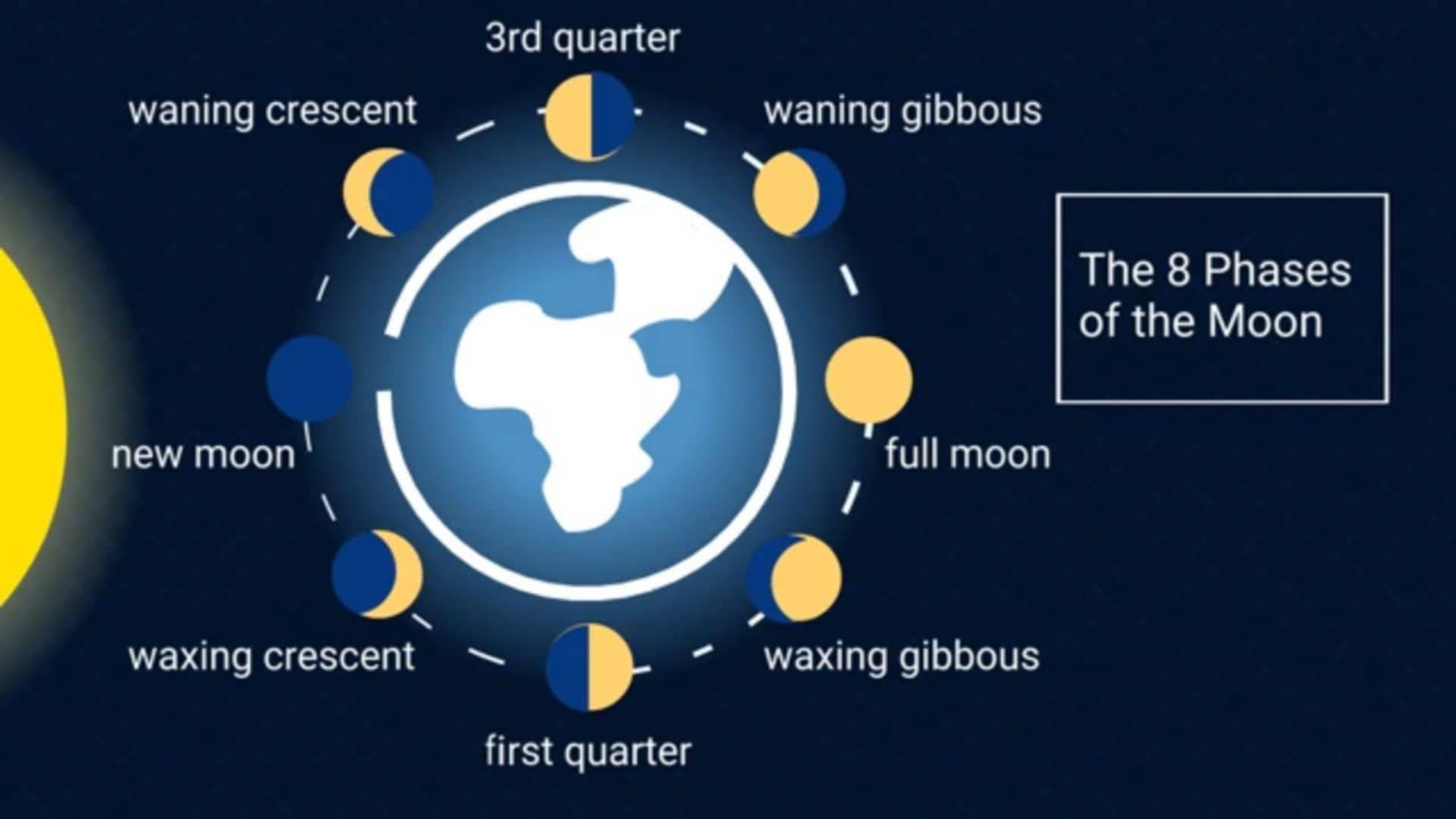 8-phase moon